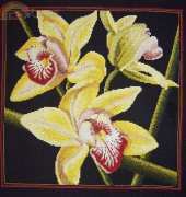 RTO M264 - Orquídeas Cymbidium