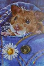 Pocket Hamster by Stepanova Lyubov (Slovew) xsd