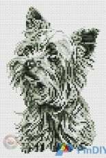 DMC DECO K5773 Yorkshire Terrier