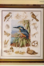 Anchor APC902 Kingfisher from Cross Stitch Gold 30 XSD + PCS