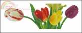 KCO 618170 Tulips XSD