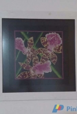 Orchids