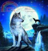 HAEDAP 1034 Blue Moon David Penfound Artworks