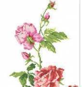 Riolis 702 - Roses