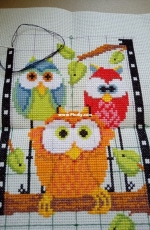 Dimension - Trio Owl