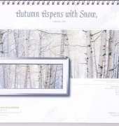 I Love CrossStitch ILCS PNR-011 Autumn Aspens with Snow XSD