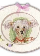 ZP-001 Portrait of Chinese Crested