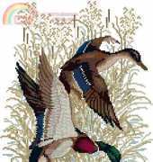 Zolotoe Runo C-014 Duck Hunting