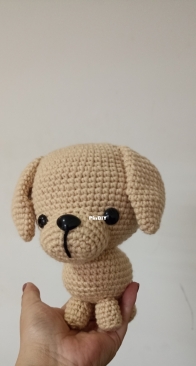 Poodle