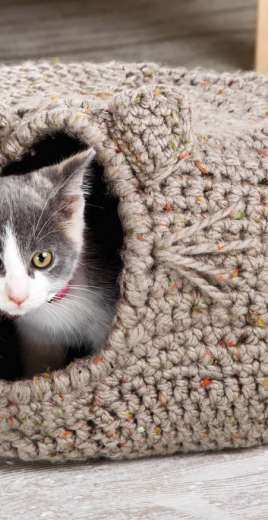 Annies Signature Designs - Lena Skvagerson - Cat Igloo