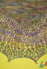 Knitwise-Crackers First Shawl by Knitwise Cracker-Free