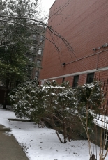 Snow