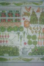 vegetable garden