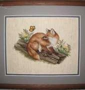 Fox picture