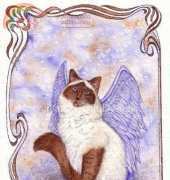 HAED HAEDG 107 Purrfect Angel by Deborah Grieves