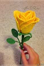 Yellow rose