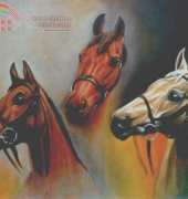 Arxinda - Cabezas Caballo
