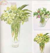 Fujico 612 - Daffodils From Calendar Japanese Book