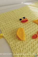 Sol Maldonado - Duck blankie