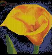 Zolotoe Runo ZHC-002 Calla
