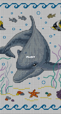 Club Point de Croix CPDC - Clever Dolphin
