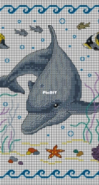 Club Point de Croix CPDC - Clever Dolphin