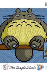 C2C Totoro
