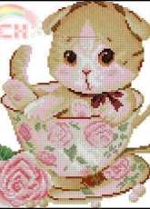 Pretty cat