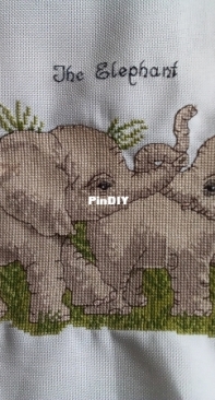 The elephant