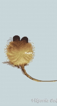 Mouse by Victoria Pakhomova