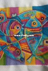 Vibrant fish