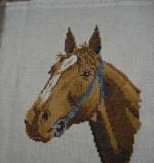 horse
