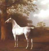 Laura Stitch ANI_001 - Horse