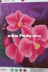 another diamond painting