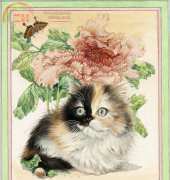 HAED HAEDLAI 4375 Poppy In Peonies by Lesley Ann Ivory XSD