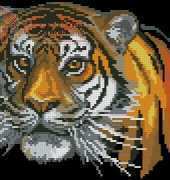 Riolis 259 Tiger