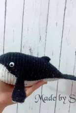 whale with big head