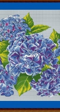 Hydrangeas by Jeanne Dick XSD