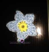 Forget Me Not Flower (Weed)