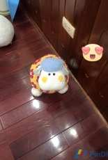 crohet baby wooly