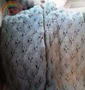 More legwarmers
