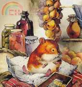 Hamsters home