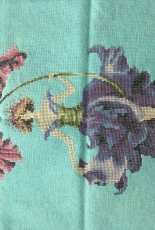 Pansy Mirabilia