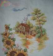 Sunflowers..