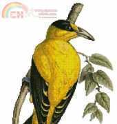 Artecy Yellow Bird