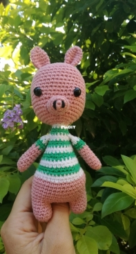 my little pig with a t-shirt