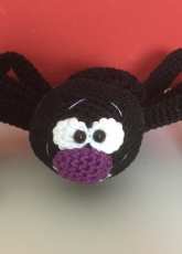 spider