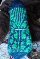 Wandering Tortoise socks