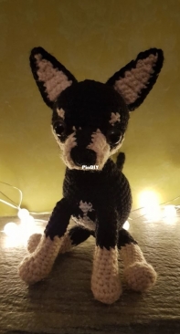 Zoumpi Crochets - chihuahua tricolor - English