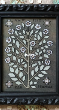 Wildflowers by Kathy Barrick